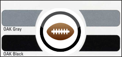Oakland Raiders color scheme - Click Image to Close